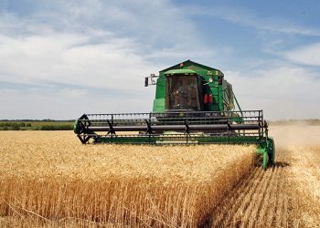 Obavijest  poljoprivrednim proizvođačima sa područja Općine Velika Kladuša koji će zasnivati proizvodnju stočnog ječma, zobi ili tritikala