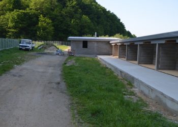 Azil za pse završen petnaest dana prije roka
