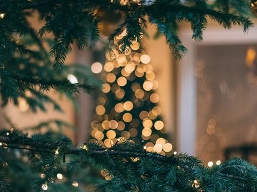 Božićni prijem za građane pravoslavne vjeroispovijesti