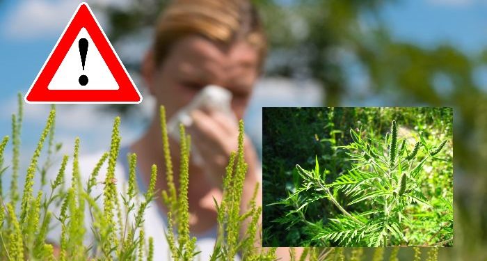 UPOZORENJE svim vlasnicima, posjednicima, korisnicima i upraviteljima zelenih površina