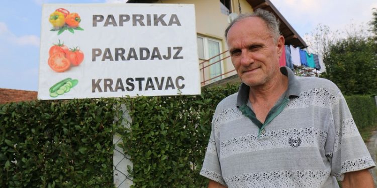 Uz pomoć Evropske unije i Općine Velika Kladuša tri porodice beru plodove svog teškog rada
