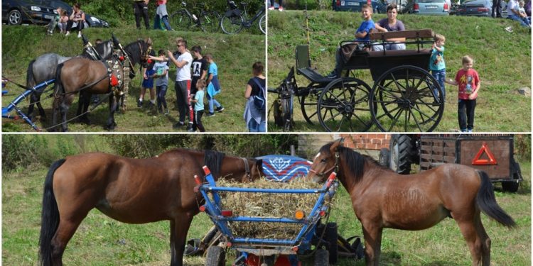 19-ti po redu “Kladuški dani poljoprivrede 2019”