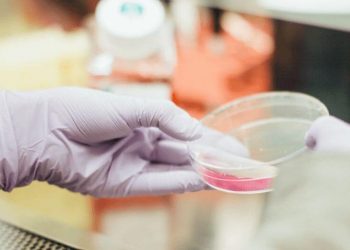 Mitovi i istine o koronavirusu