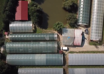 Kako danas izgleda Velika Kladuša