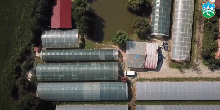 Kako danas izgleda Velika Kladuša