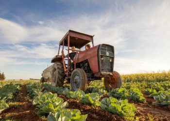 Veća poticajna sredstva za kladuške poljoprivrednike: 400.000 KM za razvoj poljoprivredne proizvodnje