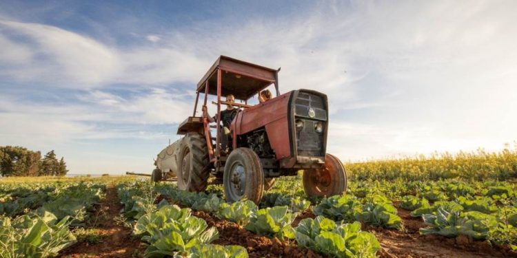 Veća poticajna sredstva za kladuške poljoprivrednike: 400.000 KM za razvoj poljoprivredne proizvodnje