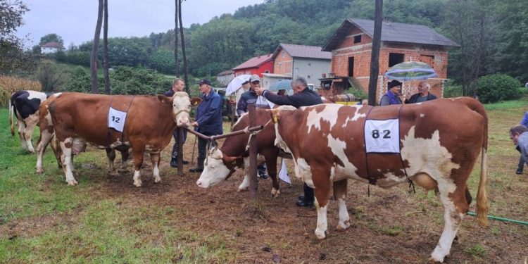 Načelnik podržao „E.S. – VET“ s 20.000 KM za „mliječne kartone“