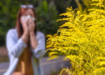 Obavijest fizičkim i pravnim licima na području Općine Velika Kladuša