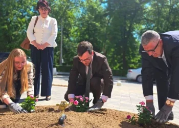 „UK bašta“: Posađene prve ruže kao znak nade, saradnje i zajedničkog rasta
