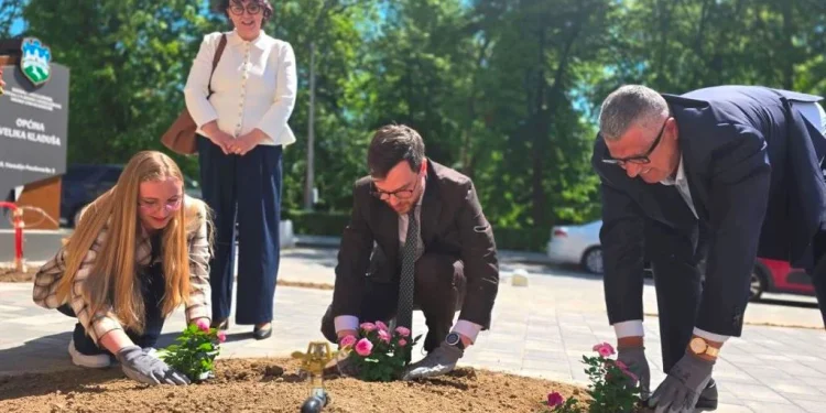 „UK bašta“: Posađene prve ruže kao znak nade, saradnje i zajedničkog rasta