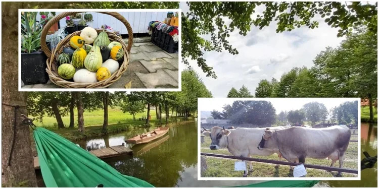 U subotu završnica manifestacije “Kladuški dani poljoprivrede 2025”